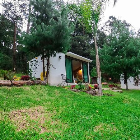 Romanticas Cabanas En Bosque Acaxochitlán 外观 照片