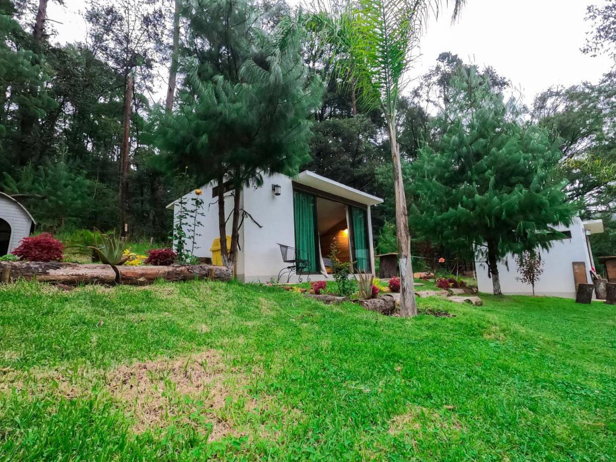 Romanticas Cabanas En Bosque Acaxochitlán 外观 照片
