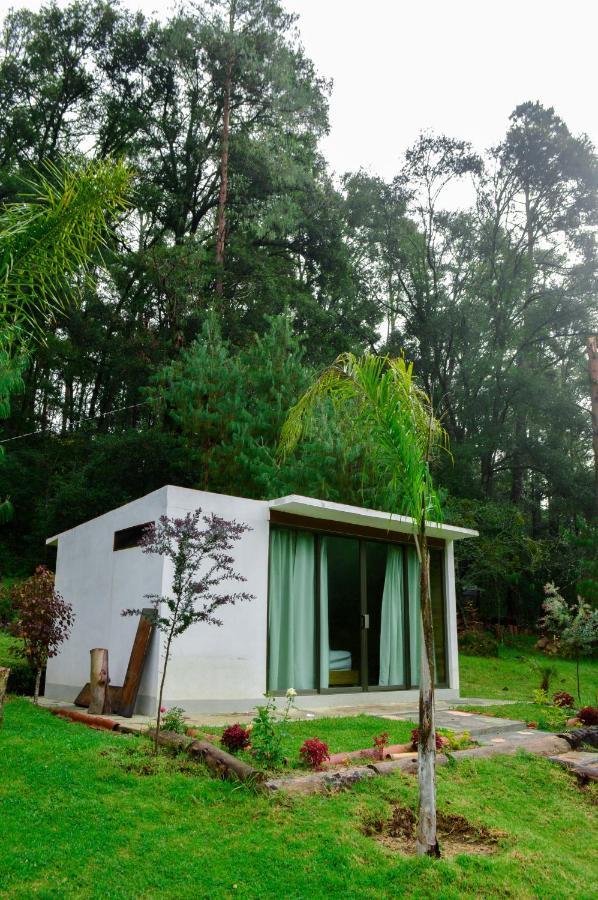 Romanticas Cabanas En Bosque Acaxochitlán 外观 照片
