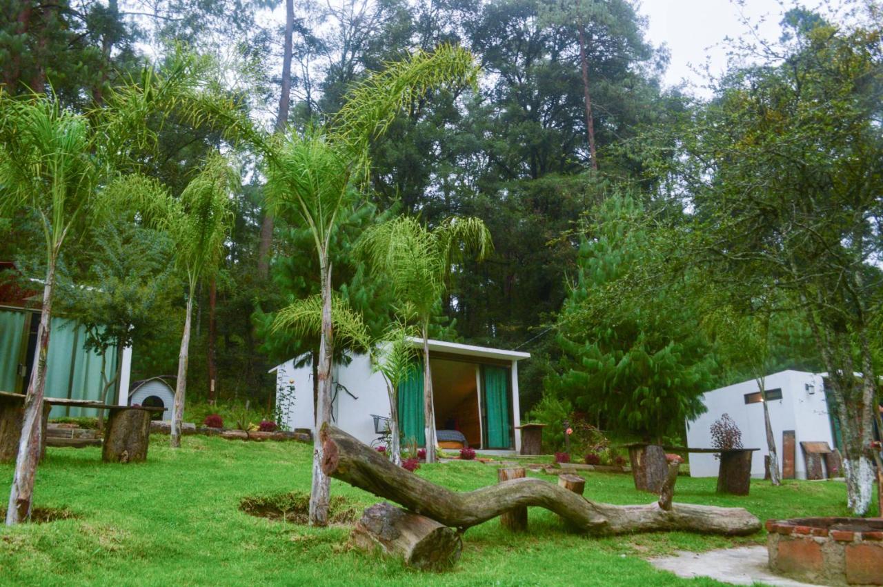 Romanticas Cabanas En Bosque Acaxochitlán 外观 照片