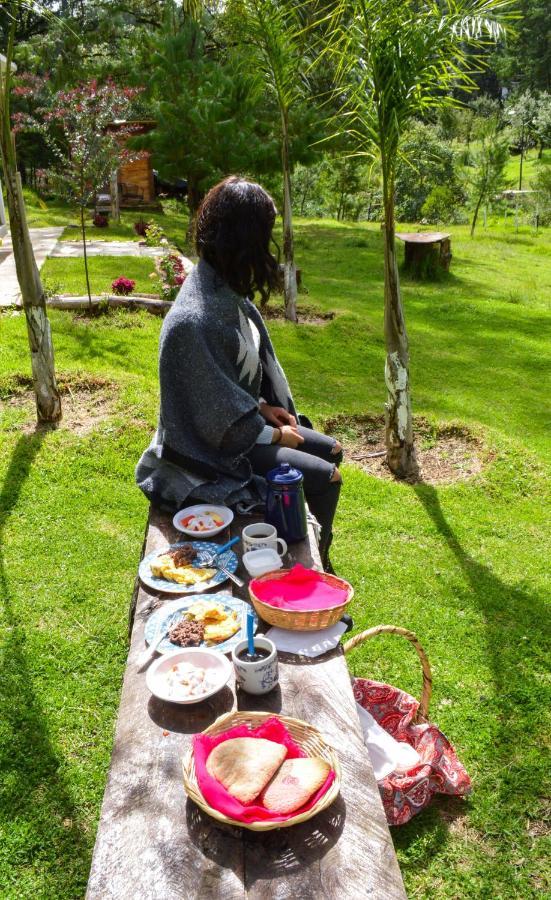 Romanticas Cabanas En Bosque Acaxochitlán 外观 照片