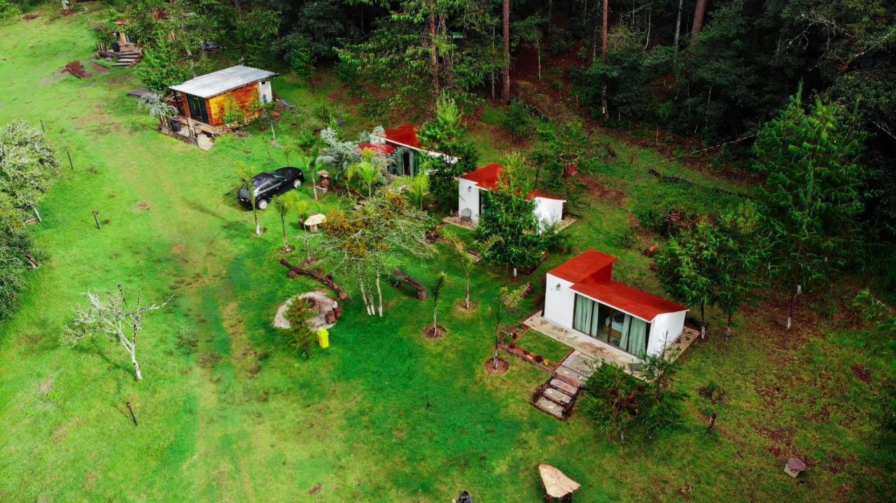 Romanticas Cabanas En Bosque Acaxochitlán 外观 照片