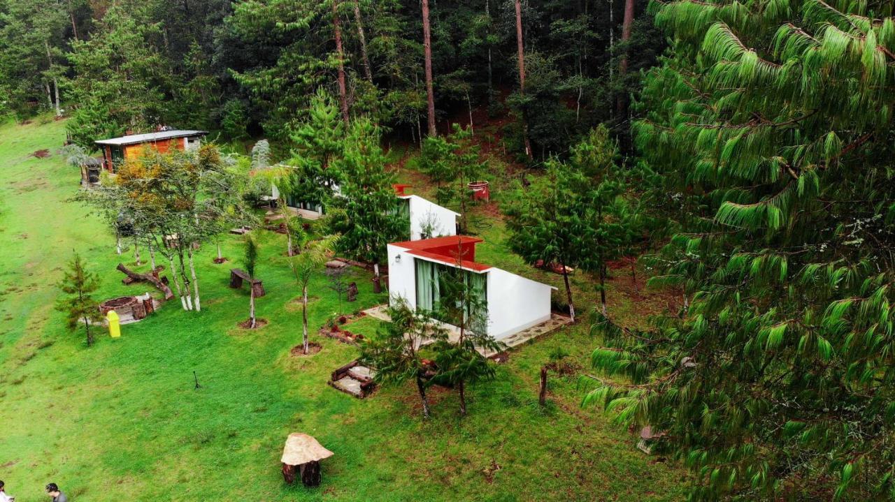 Romanticas Cabanas En Bosque Acaxochitlán 外观 照片
